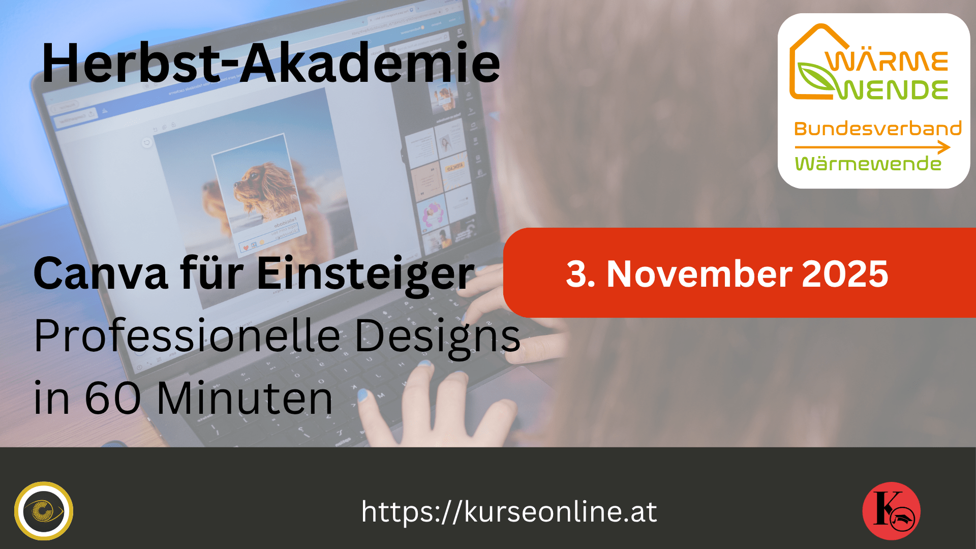 Canva für Einsteiger – Professionelle Designs in 60 Minuten
